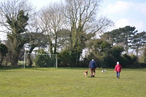 Ringwould Rec Football Goal post